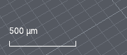 The scale bar over the grid, spanning 500 µm